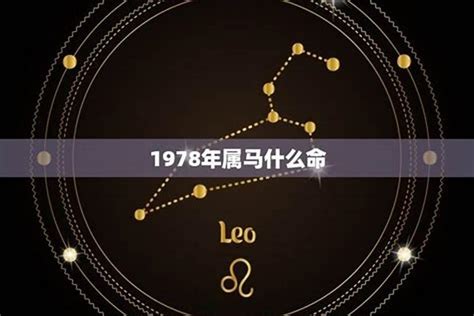 1978什么年